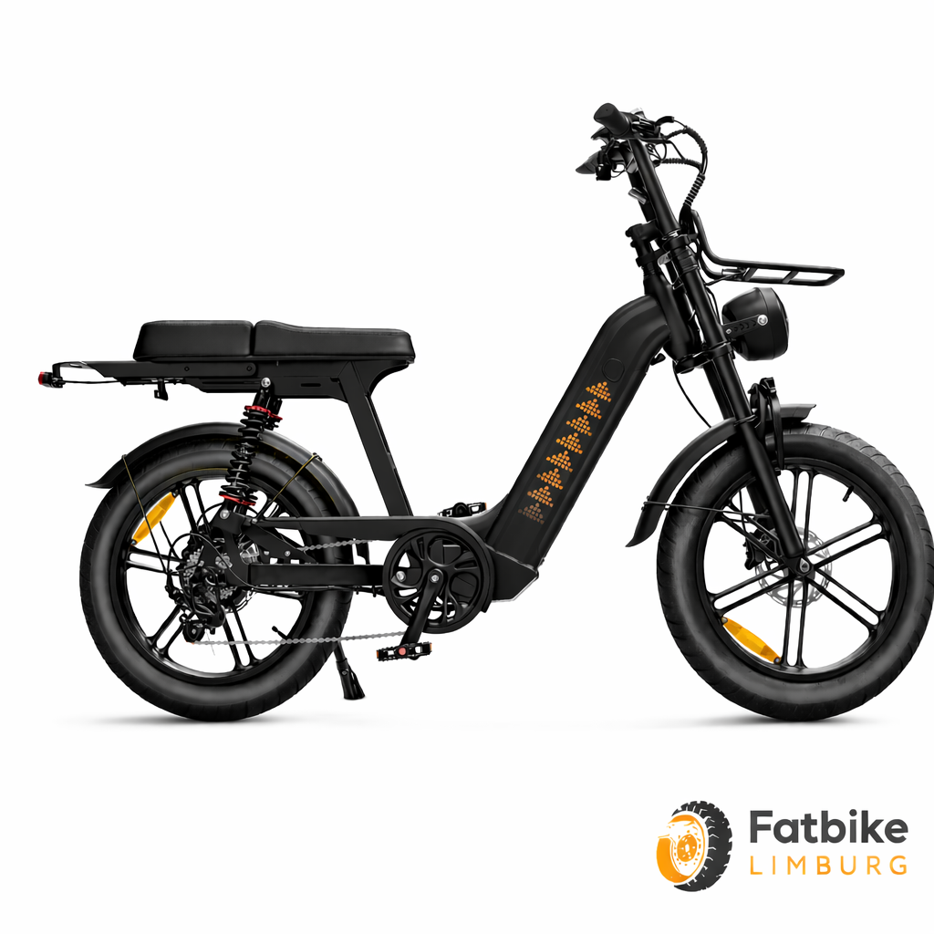 QMWheel D50 Fatbike 20 Inch – 48V 18.2Ah Accu – 250W Motor - Zwart